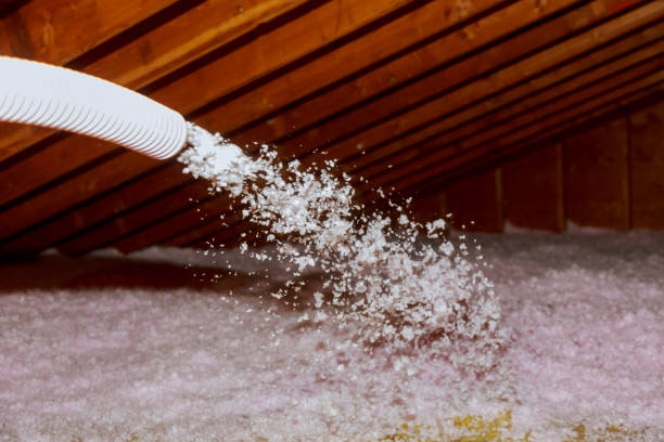 Best Insulation Materials and Products in Cynthiana, KY